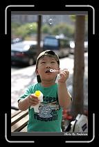 IMG_9220 * 566 x 910 * (227KB)