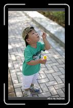 IMG_9244 * 566 x 910 * (220KB)