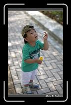 IMG_9246 * 566 x 910 * (247KB)
