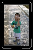 IMG_9249 * 566 x 910 * (216KB)