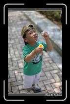 IMG_9255 * 566 x 910 * (239KB)