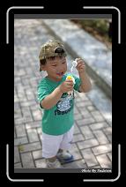 IMG_9256 * 566 x 910 * (245KB)