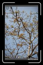 IMG_9257 * 566 x 910 * (242KB)