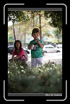IMG_9271 * 566 x 910 * (222KB)