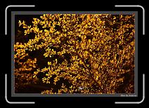 IMG_9458 * 892 x 608 * (248KB)