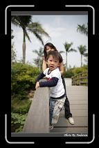 IMG_9465 * 566 x 910 * (237KB)