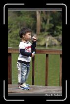 IMG_9470 * 566 x 910 * (239KB)