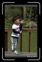 IMG_9473 * 566 x 910 * (229KB)