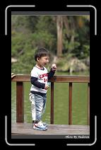 IMG_9474 * 566 x 910 * (244KB)