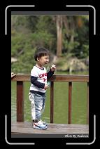 IMG_9475 * 566 x 910 * (243KB)