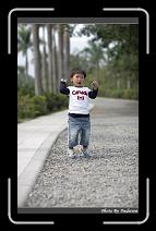 IMG_9514 * 566 x 910 * (237KB)