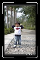 IMG_9526 * 566 x 910 * (242KB)