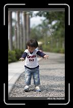 IMG_9527 * 566 x 910 * (234KB)