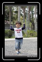 IMG_9537 * 566 x 910 * (248KB)