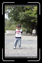 IMG_9539 * 566 x 910 * (230KB)