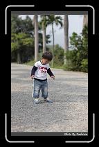 IMG_9548 * 566 x 910 * (221KB)