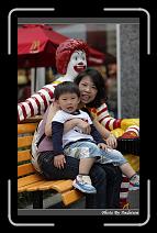 IMG_9561 * 566 x 910 * (236KB)
