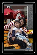 IMG_9567 * 566 x 910 * (231KB)