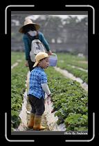 IMG_0001 * 566 x 910 * (232KB)