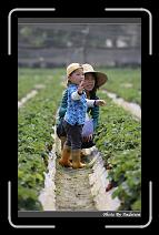 IMG_0004 * 566 x 910 * (234KB)