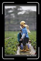 IMG_0019 * 566 x 910 * (246KB)