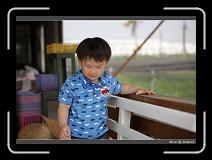 IMG_0026 * 850 x 608 * (247KB)