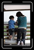 IMG_0040 * 566 x 910 * (229KB)