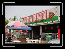 IMG_0043 * 850 x 608 * (233KB)