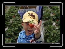 IMG_9800 * 850 x 608 * (234KB)