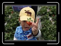 IMG_9801 * 850 x 608 * (234KB)