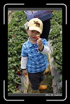 IMG_9808 * 566 x 910 * (238KB)