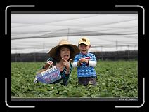 IMG_9846 * 850 x 608 * (228KB)