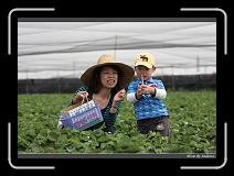 IMG_9847 * 850 x 608 * (239KB)