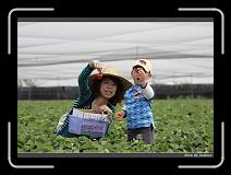 IMG_9850 * 850 x 608 * (225KB)
