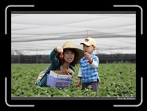 IMG_9852 * 850 x 608 * (222KB)
