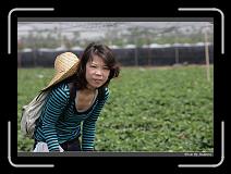 IMG_9909 * 850 x 608 * (231KB)