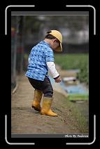 IMG_9947 * 566 x 910 * (224KB)
