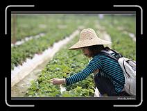 IMG_9993 * 850 x 608 * (238KB)