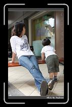 IMG_0235 * 566 x 910 * (246KB)
