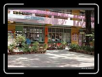 IMG_0504 * 850 x 608 * (242KB)