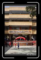 IMG_0515 * 566 x 910 * (247KB)