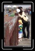 IMG_0590 * 566 x 910 * (224KB)