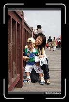 IMG_0592 * 566 x 910 * (226KB)