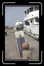 IMG_0625 * 566 x 910 * (233KB)