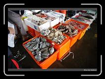 IMG_0663 * 850 x 608 * (234KB)