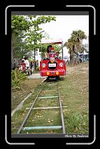 IMG_0694 * 566 x 910 * (240KB)
