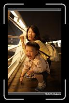 IMG_0764 * 566 x 910 * (247KB)