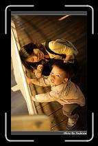 IMG_0774 * 566 x 910 * (238KB)