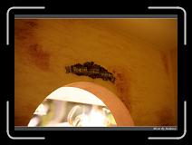 IMG_0922 * 850 x 608 * (221KB)