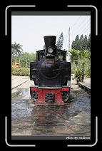 IMG_1169 * 566 x 910 * (247KB)